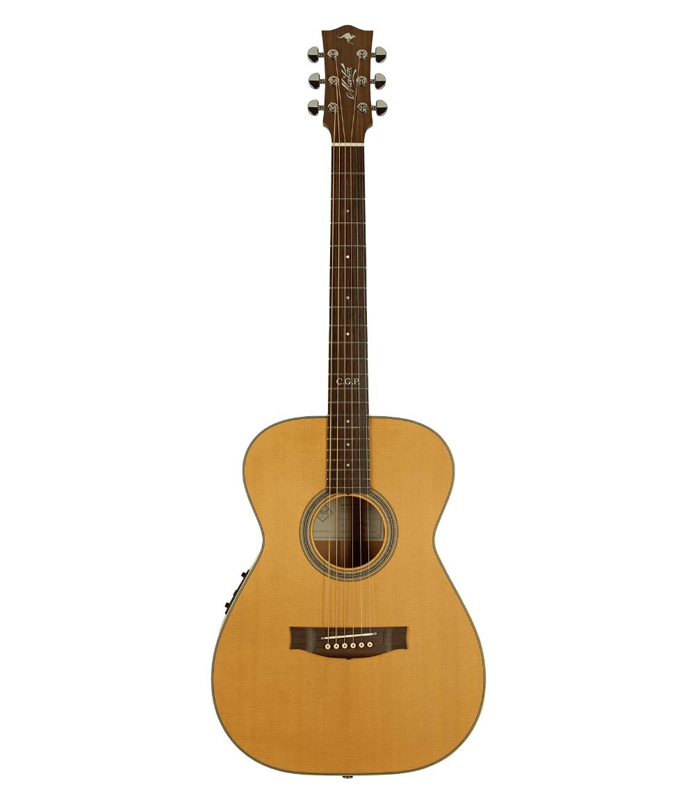 Maton Masterbuilt TE Personal